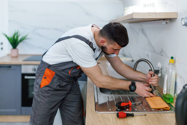 Best Plumbing Services Near Me  in Sheldon, IL