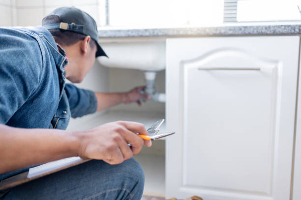 Best Affordable Plumbing Services  in Sheldon, IL
