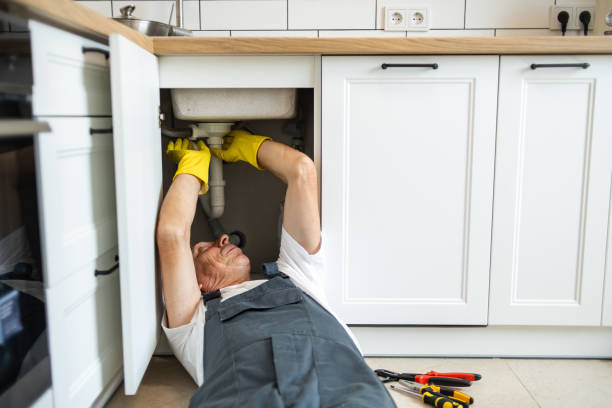 Best Sewer Cleaning Services  in Sheldon, IL