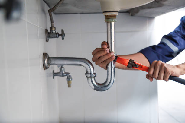 Best Plumbing Repair Near Me  in Sheldon, IL