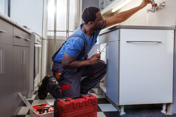 Best Faucet Repair  in Sheldon, IL
