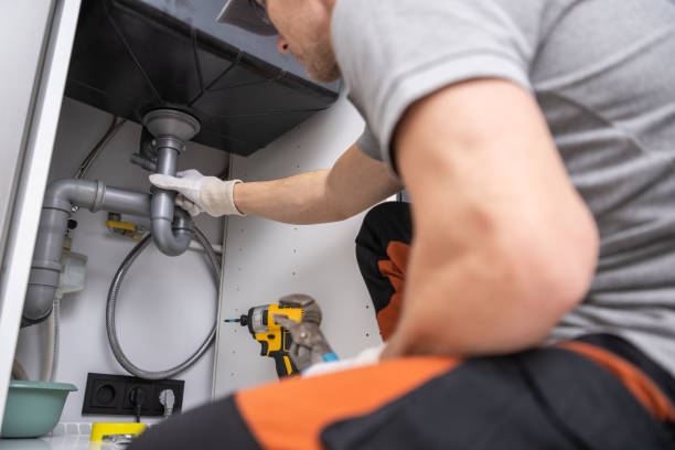 Best Emergency Plumber  in Sheldon, IL